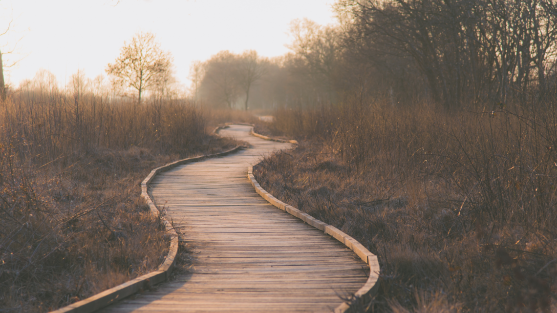 a curved wooden path