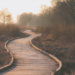 a curved wooden path