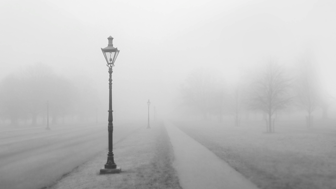 path in foggy landscape