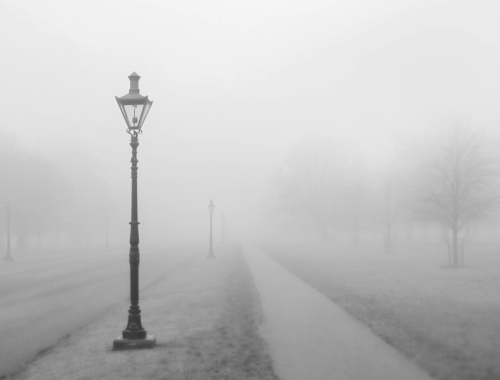 path in foggy landscape